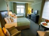 Executive Quadruple Suite