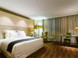 Terrace Double Suite