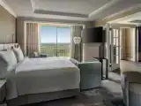 Presidential High Floor Double Suite with balcony and with Lakefront and Pool View