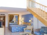 Standard Duplex Suite