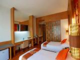 Premier Deluxe Paradise Wing Double room