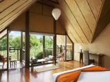 Forest Dwelling