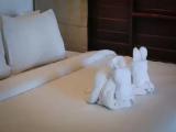 Double Junior Suite with garden view