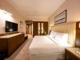Premium Double Suite with view