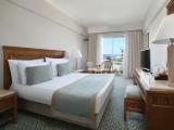 Superior Partial Nile View Double room