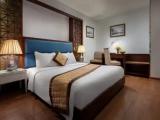Standard (No Window) Double room