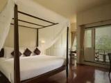 Deluxe Double room with forest view
