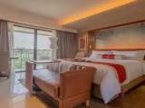 Deluxe Premium Double room with rice field view