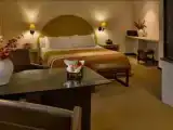 Double Junior Suite