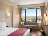 Premier Aravalli View Twin room