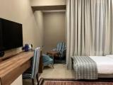 Large Standard No Window Double room