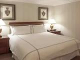 Executive Double Junior Suite
