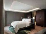 1 Bedroom Executive Double Suite with city view