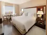 Premium Double room with river view