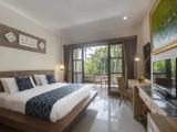 Premier Double room with garden view