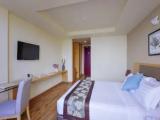 Palm view Double room
