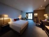 Double Studio Suite
