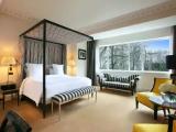 Parisian Double Suite with garden view