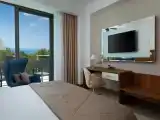 Standard Double Club room