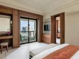 Premier Double Suite