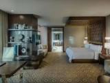 1 Bedroom Presidential Double Suite