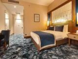 Standard Accessible Double room