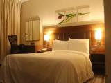 Accessible Double room