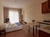 Double Studio Apartment