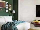 Nighthawk Double Suite