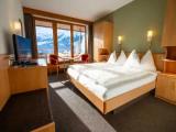Double room with mountain view