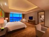 Presidential Double Suite
