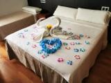 Double Hydromassage bathtub  Spa Access room