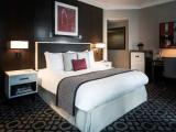 Superior Accessible Double room
