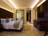 Deluxe Premier Double room