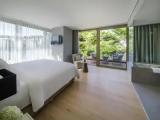 Double Junior Suite with park view