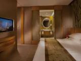 Studio Executive Double Suite