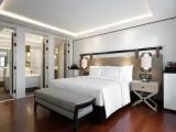 The Level Presidential Double Suite