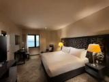 Premier Double Suite