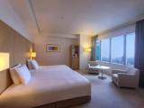 Premium Lounge Access Twin room with city view
