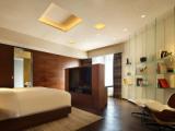 Skyview Double Penthouse room