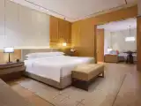 Regency Executive Double Suite