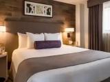 Premier Double Suite