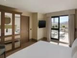 Presidential Terrace Double Suite with view