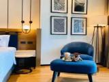 New Deluxe Double room