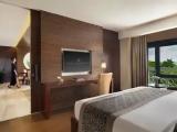 Ambassador Double Suite