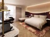 Double Junior Suite Landmark View