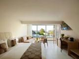 Premium Swim Up Double room with garden view