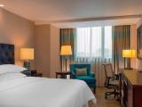 Business Deluxe Club lounge access Double room with city view