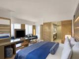 Double Junior Suite with land view