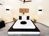 Executive Double Suite